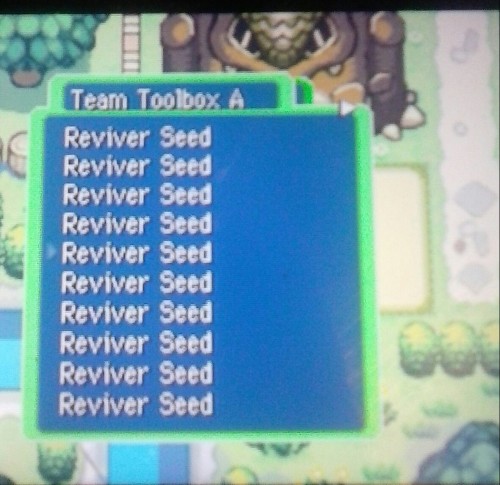 therainingraven:Of course I have a strategy for pokemon mystery dungeon