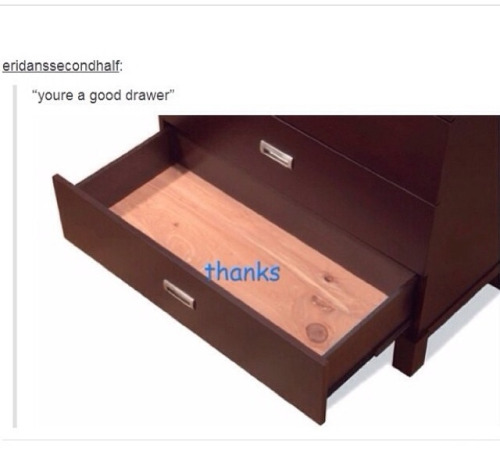 itsstuckyinmyhead: Tumblr and Puns