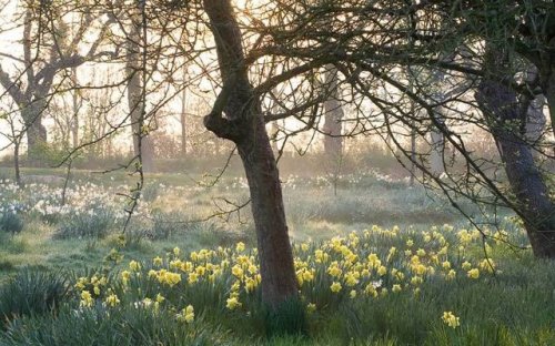 brigantias-isles:Sissinghurst Gardens