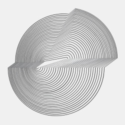 shakerbox:  Bridget Riley — Interrupted