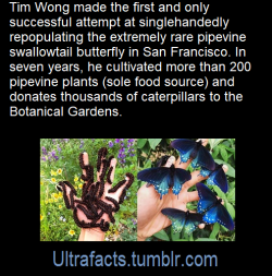 ultrafacts:  Source: [x] Click HERE for more facts! 