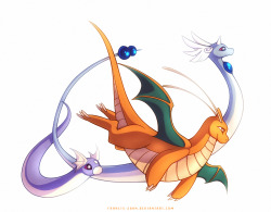 fluma:  Dratini, Dragonair and Dragonite