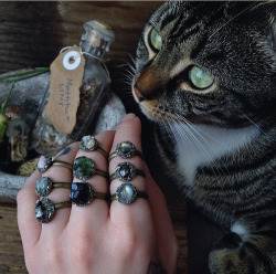 staytrueorgtfo:  Stone and Gemstone Rings here x 