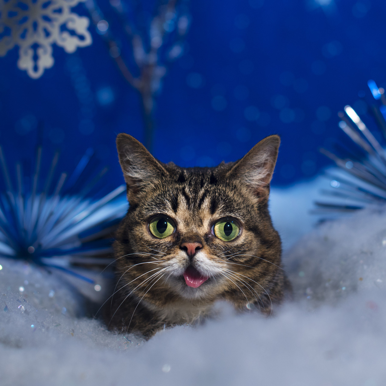 bublog:  BUB doesn’t really celebrate Earth holidays, but appreciates that you