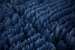 evocates:  Stone Forest in Madagascar 