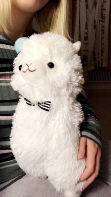 threealpacas:  While I have to spend the rest of Christmas at the hospital, Roger is here playing nurse and kissing my booboos and make everything better!!! 🌸