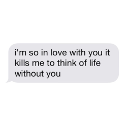 yungvera:  radical-illusion:  i love u    #