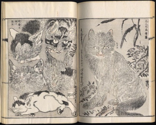 geritsel:Kawanabe Kyōsai - Spreads from the four volumes of Kyōsai gadan (Kyōsai Treatise on Paintin