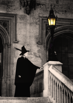 brienneoftvrth: The door swung open at once. A tall, black-haired witch in emerald-green robes stood there. She had a very stern face and Harry’s first thought was that this was not someone to cross.