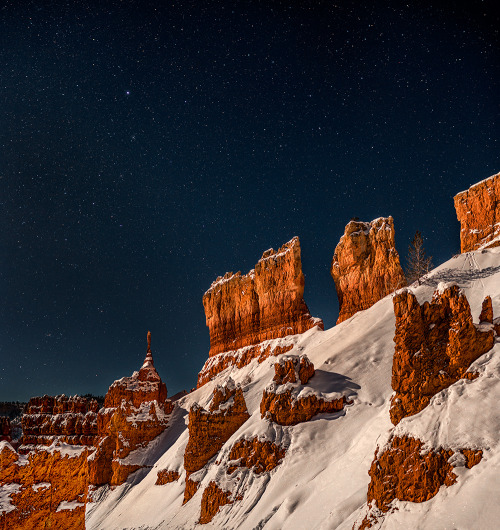 renamonkalou:    Fabulous New Year’s Eve in a snowy Bryce | izhDiletant (Valeriy Shcherbina)   