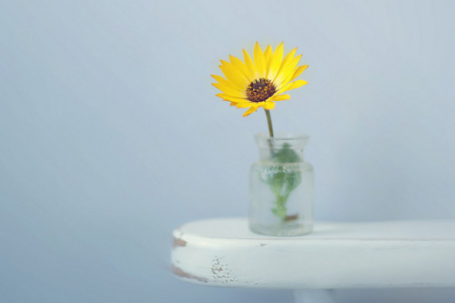 timefliestoday:  “Time does not pass, it continues” by islandgirlsj on Flickr. 
