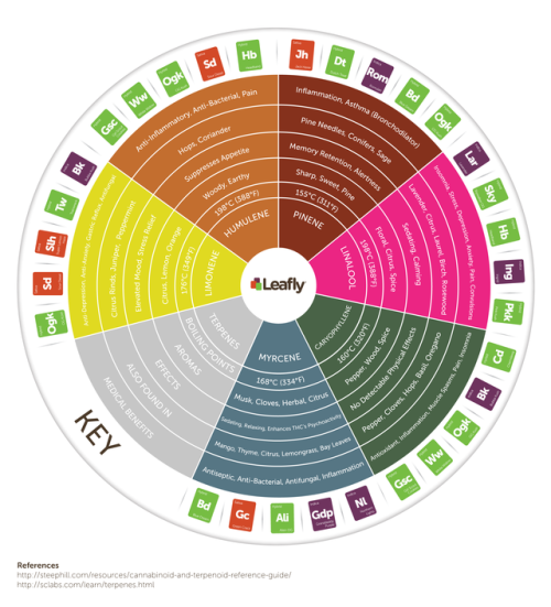 What Are Cannabis Terpenes and How Do They Affect You? https://www.leafly.com/news/cannabis-101/info