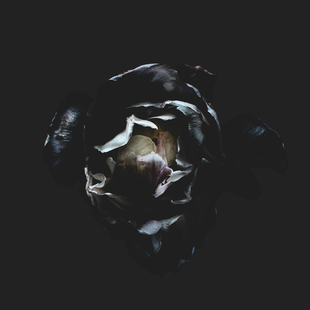piecesofdamien:  Death