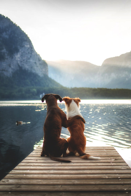 XXX lsleofskye:  - friendship - | Anne Geier photo