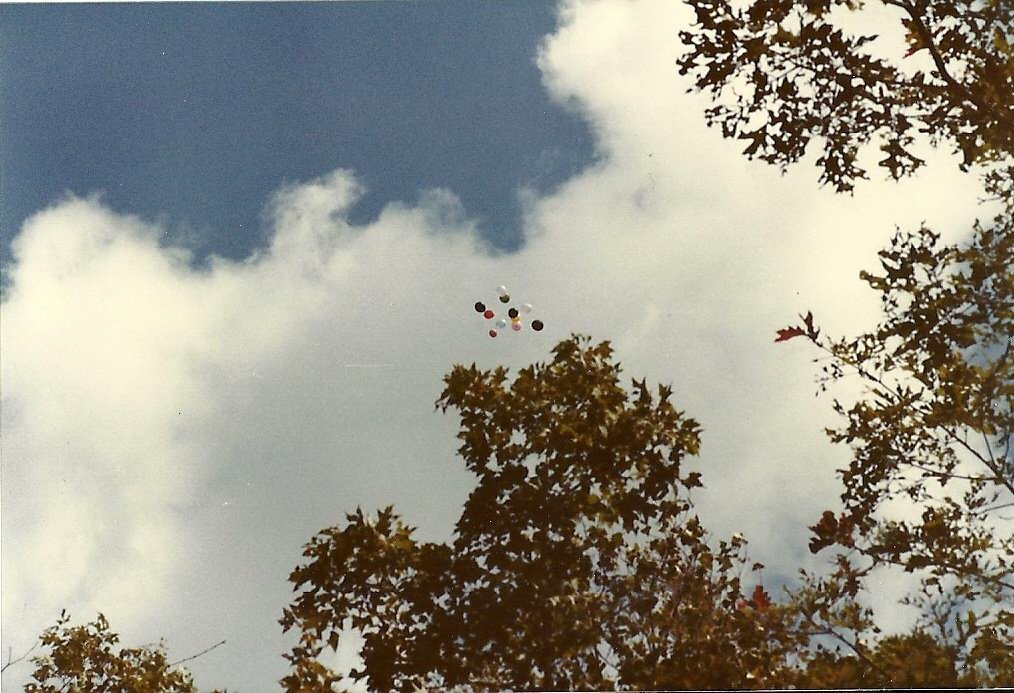 youdlookbetterwithabeard:  More of my dads pictures I found. Looks fun.