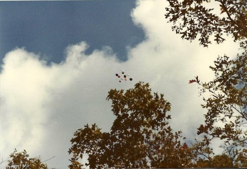 youdlookbetterwithabeard:  More of my dads pictures I found. Looks fun.