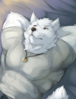 ralphthefeline:  Random white wolf laying