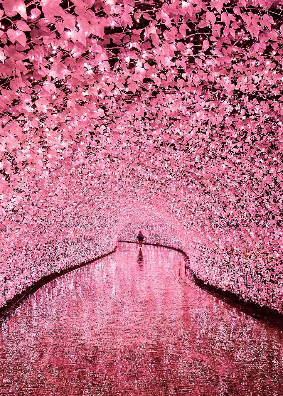coiour-my-world:Sparkling in the rain – the illuminated tunnel in Mie, Japan, with