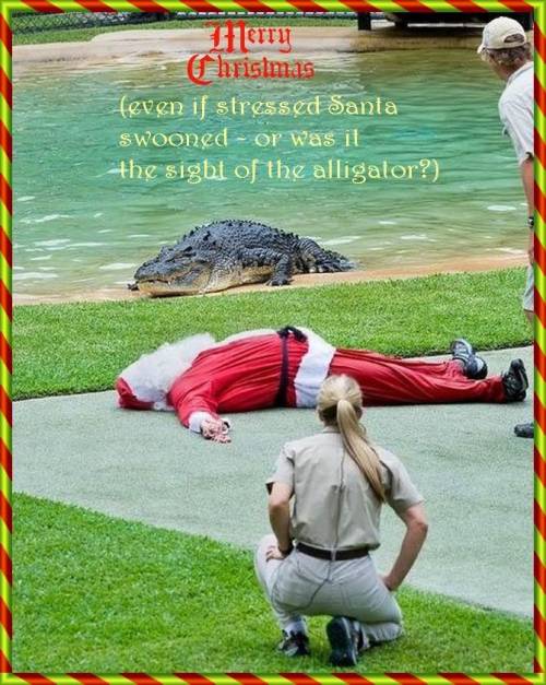 peterschlehmil: petschm66: Merry Xmas_humor_Santa swooned: too much stress or was it the alligator?