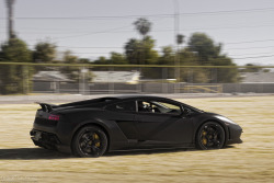 desertmotors:  Lamborghini Gallardo 