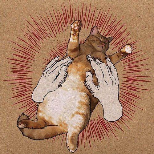 fantasticallyweirdshit:  godspeed you kitty cat cat