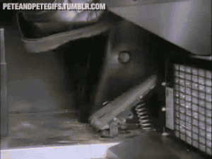 tumblr_n0yz2hgLjM1tnr350o1_400.gifv