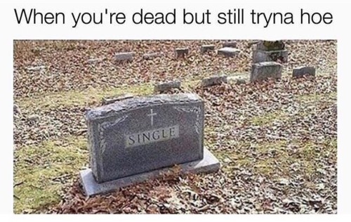 bitchycode:so me