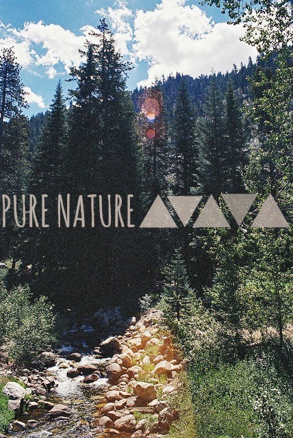 reinnatura:  The Pure Nature Network is always looking for new nature blogs to add