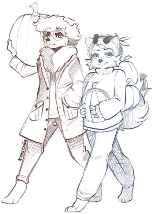 Harley and Moon walking home from a pumpkin patch with their soon-to-be jack-o-lanterns :3