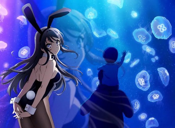 seishun buta yarou wa bunny girl senpai no yume wo minai, Tumblr