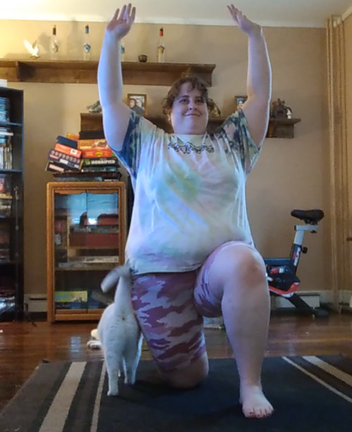 Yoga, even if your judgy cat keeps interrupting you!Visit my Youtube channel for more cats and weigh