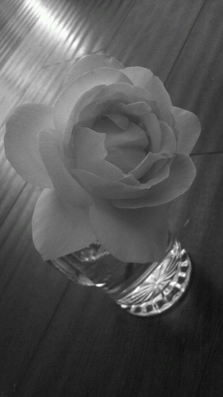 For me! ;* 