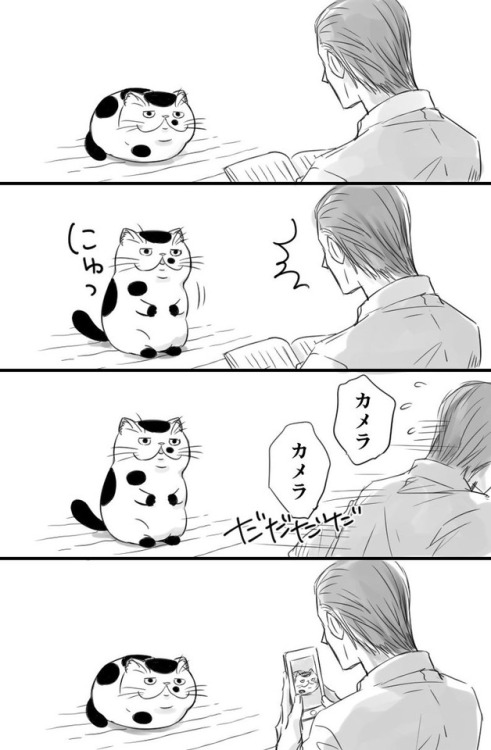 meganphntmgrl: I love how most of Ojisama to Neko so far needs no translation.