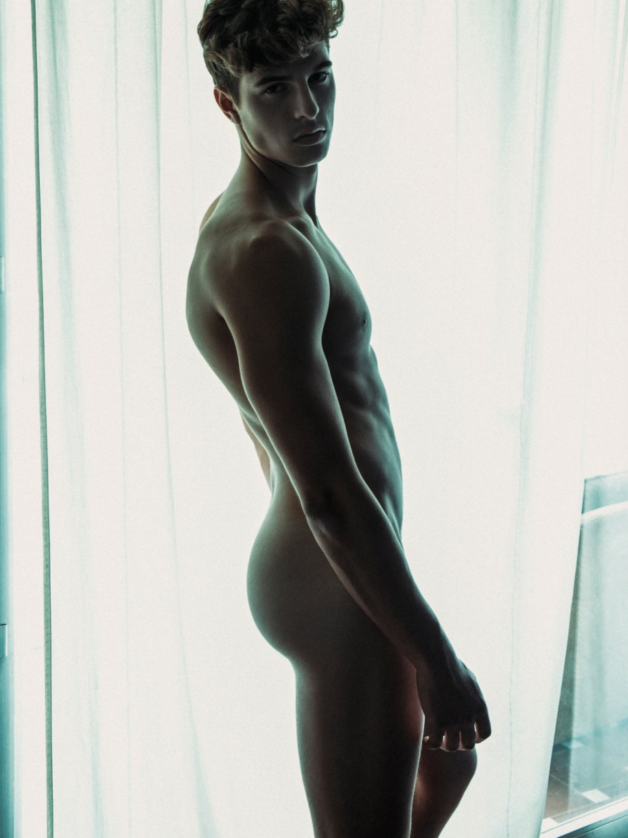 The Gay Satyr