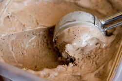 foodescapades:  Mocha-Cashew Ice Cream by Max