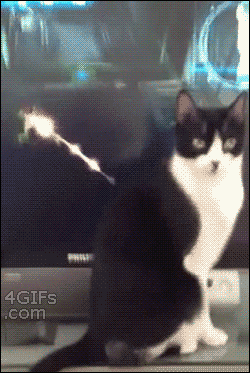 funny-gif-1:  Other Funny Gİfs http://funny-gif-1.tumblr.com/