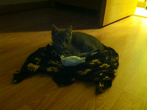 Because obviously, the best place to lay is in my panties and skirt.