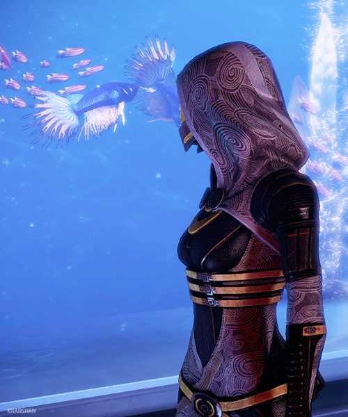 geekearth:  Tali'zorah vas Normandy (Mass Effect)
