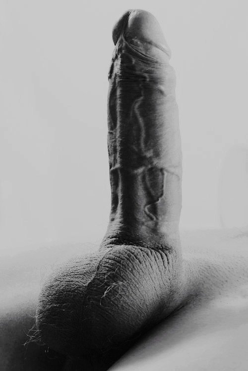 anuselessmind: anuselessmind