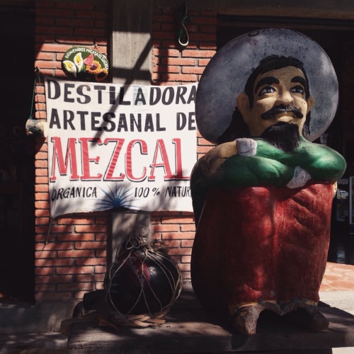 highway-bluez:“Oaxaca en una taza”