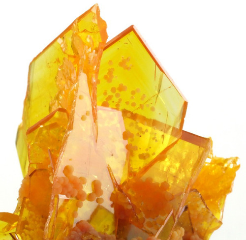 Wulfenite and Mimetite - Mexico