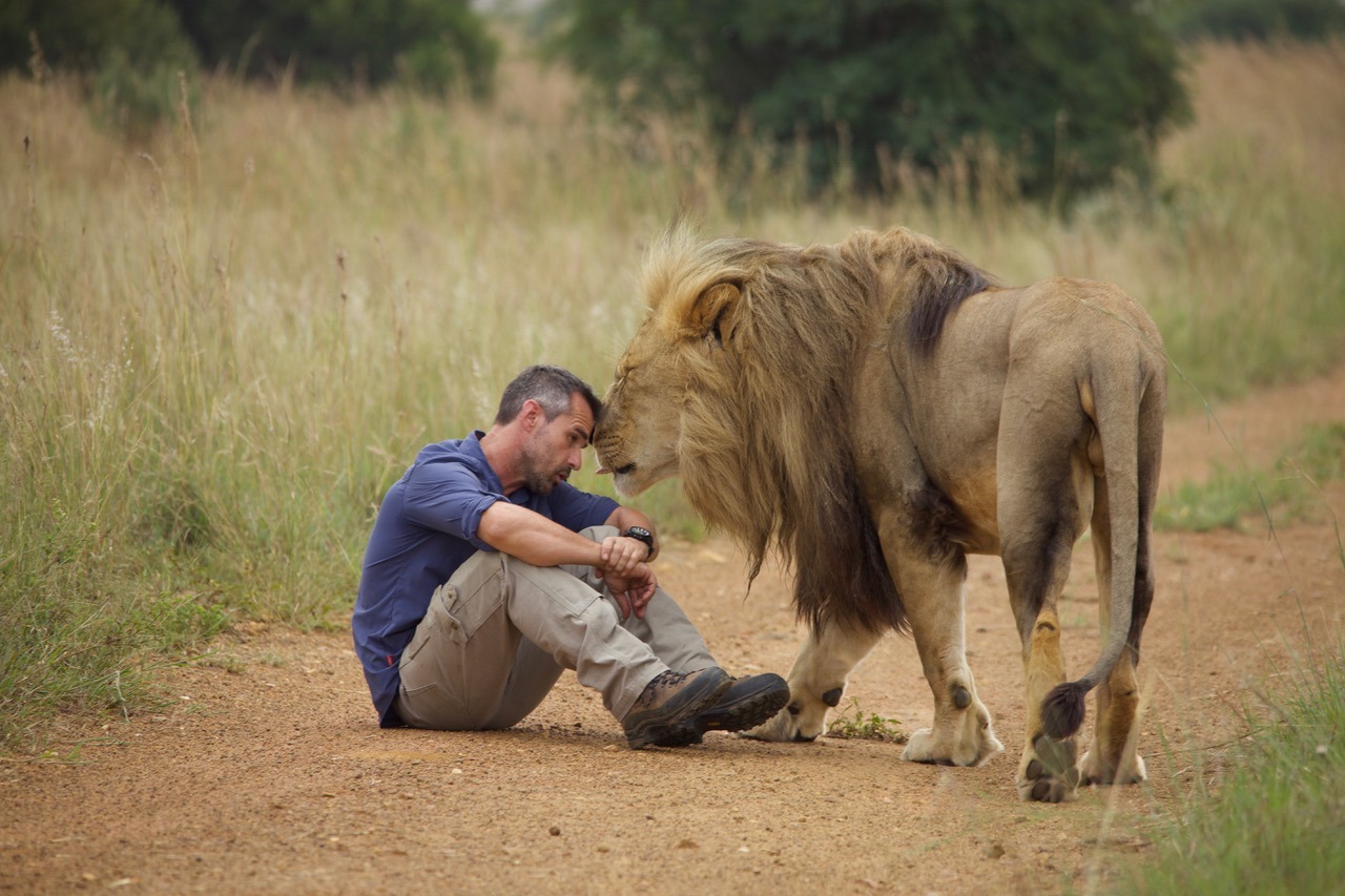 #Big Cats from Pets and Friends