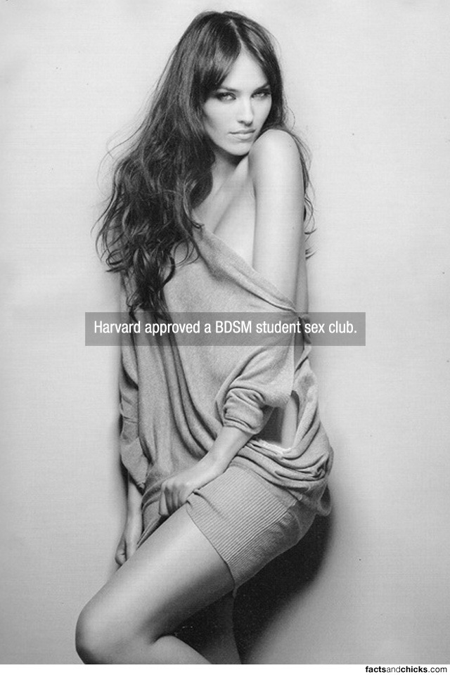 factsandchicks:  Harvard approved a BDSM student sex club. source