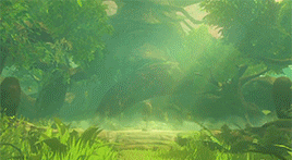 castaform:Zelda - Breath of the wild Coming porn pictures