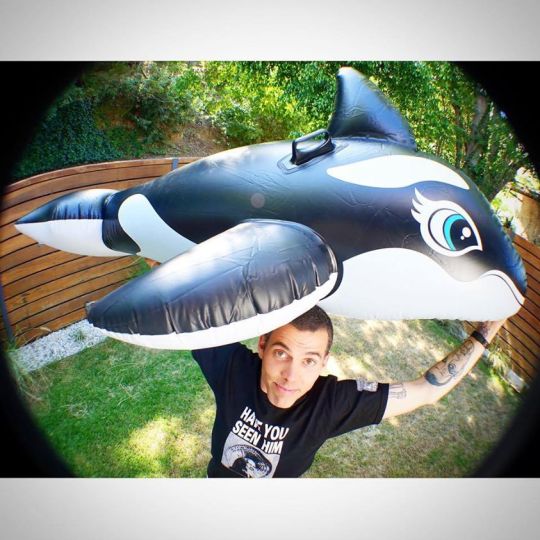 Steve-O Has Been Arrested For Climbing A Crane In Protest Against SeaWorld | The LAD Bible