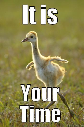 thatweirdkiddyouknow:  Supportive Sandhill Crane 