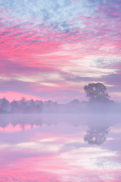 mstrkrftz:  Autumn is here by Bas Meelker