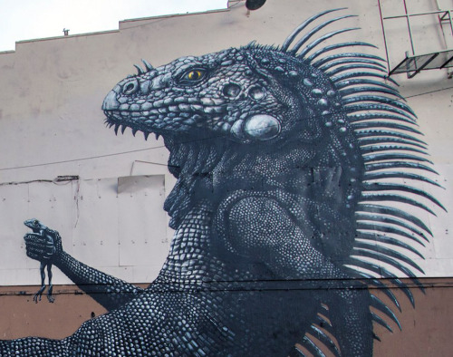fer1972:  ROA (Artist on tumblr)
