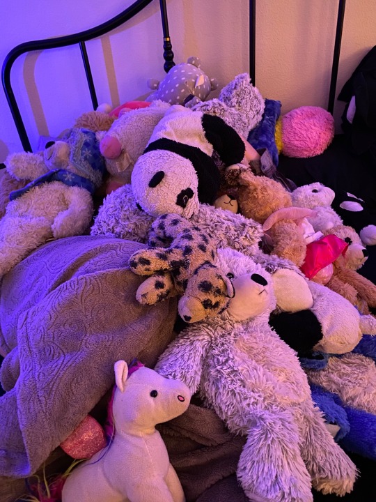 lauryn-order:Last night was a close one. We almost lost @baby-foxx! Thankfully we eventually found her buried under stuffie mountain. Phew! 