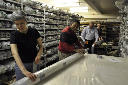 Recently some of The Textile Museum’s non-collections staff members lent a hand preparing our 